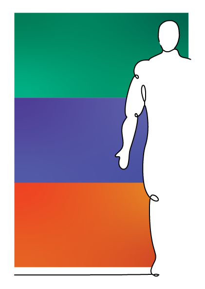 Every Day Better NMN, TMG en GlyNAC supplementen uitgelegd met capsules en poeder, voor energie en herstelondersteuning