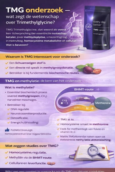 TMG onderzoek: infographic over wetenschappelijk onderzoek naar methylatie en homocysteïne