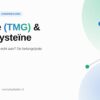 Betaïne (TMG) en homocysteïne — featured image voor artikel over de invloed van betaïne op homocysteïnewaarden